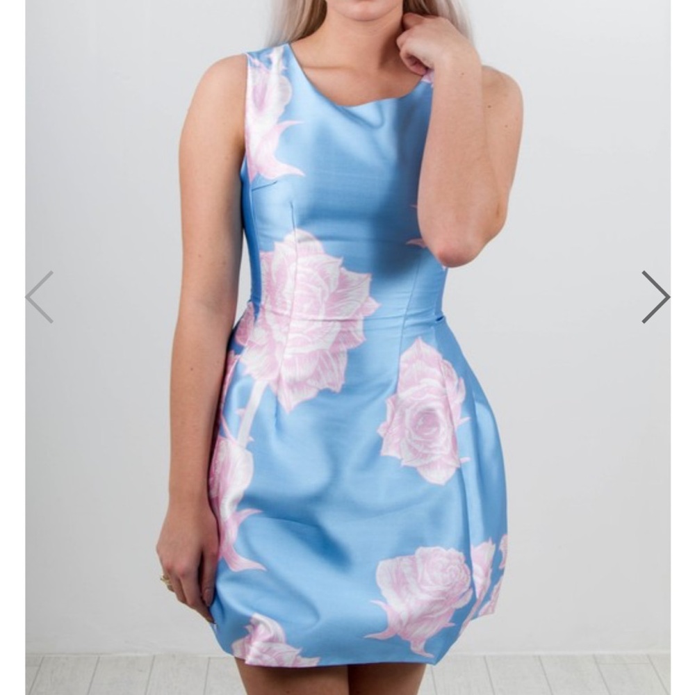 Elegant Blue and Pink Floral Dress